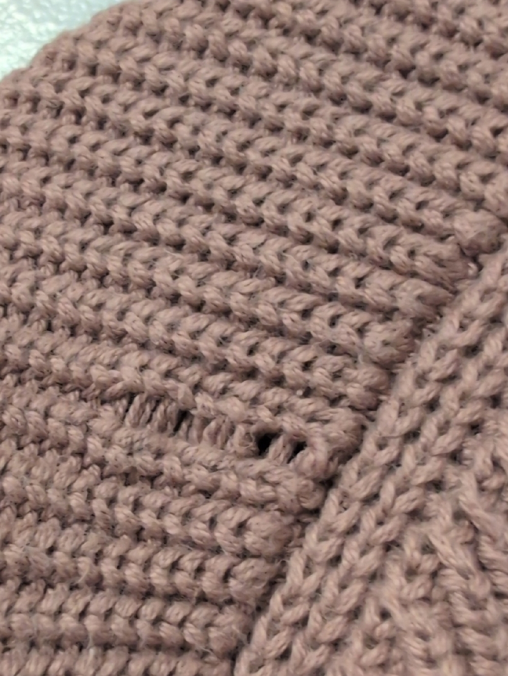 Everlane Small Pink Organic Cotton Knit Cardigan Sweater - Picture 6 of 6
